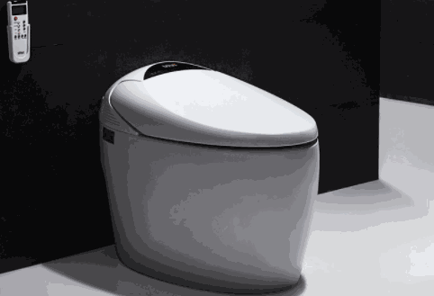 维卫智能马桶盖